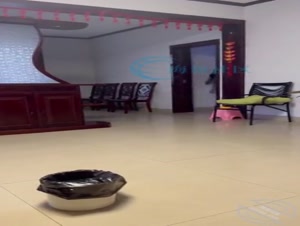 海角乱伦大神会喷水的亲姐姐 发现暧昧信息姐姐怒扇我几巴掌，上一秒还是姐大瞬间变成了荡妇